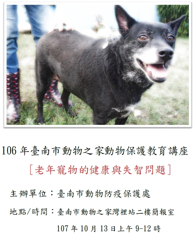 轉知 107 10 13於臺南市動物之家灣裡站辦理動物保護教育講座 老年動物的健康與失智問題 敬請踴躍報名參加