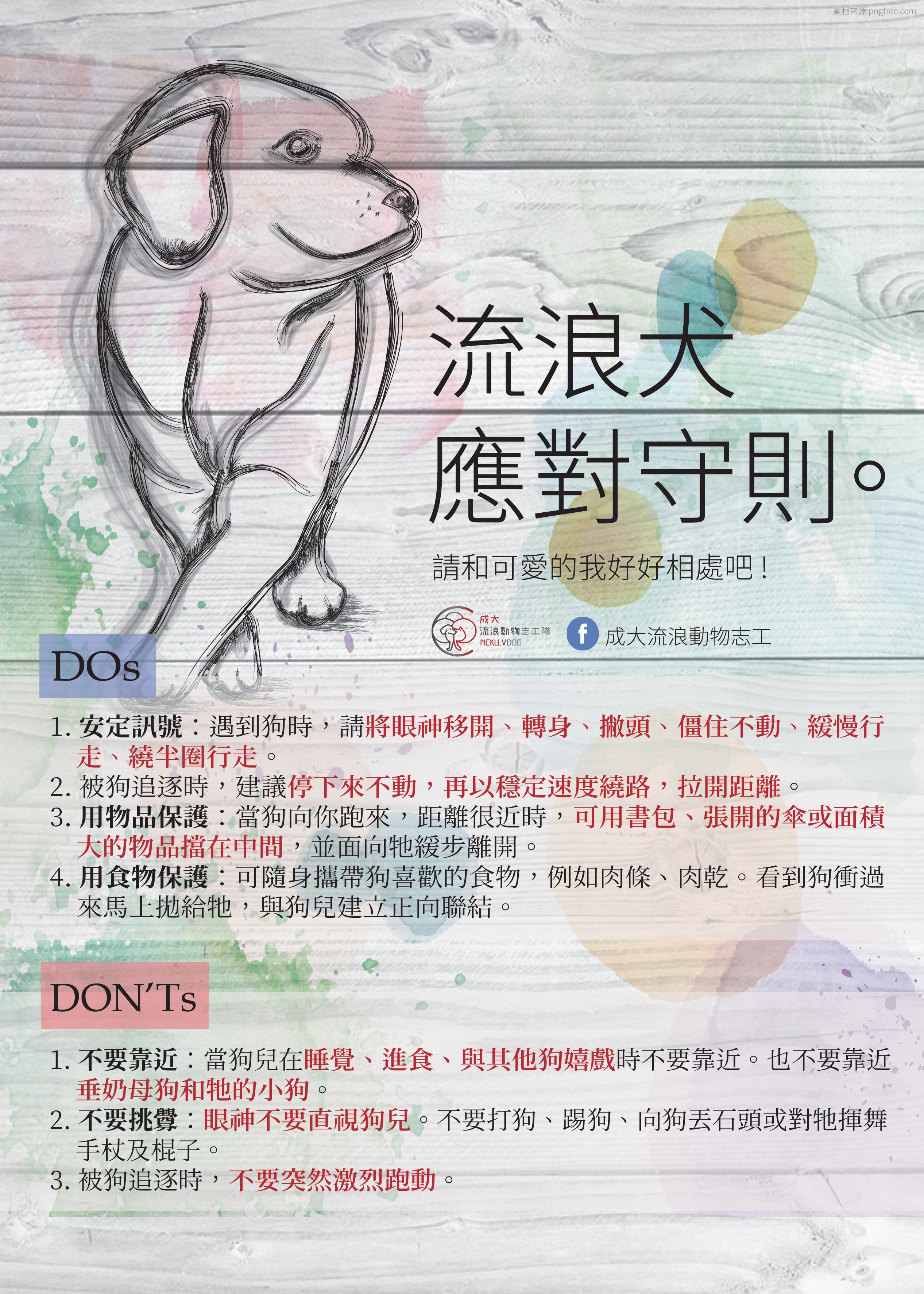 宣導：流浪犬，應對守則